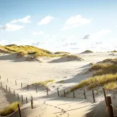 Obraz Ruchome Wydmy w Łebie