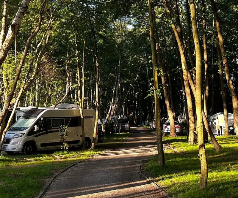 Pole namiotowe i kempingowe Kopań