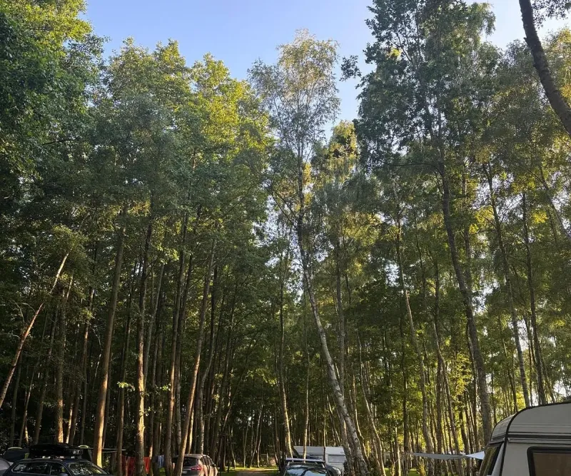 Domki przy plaży Fly House Kopań